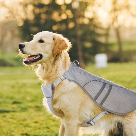 ChillPaws™ Summer Cooling Vest for Dogs